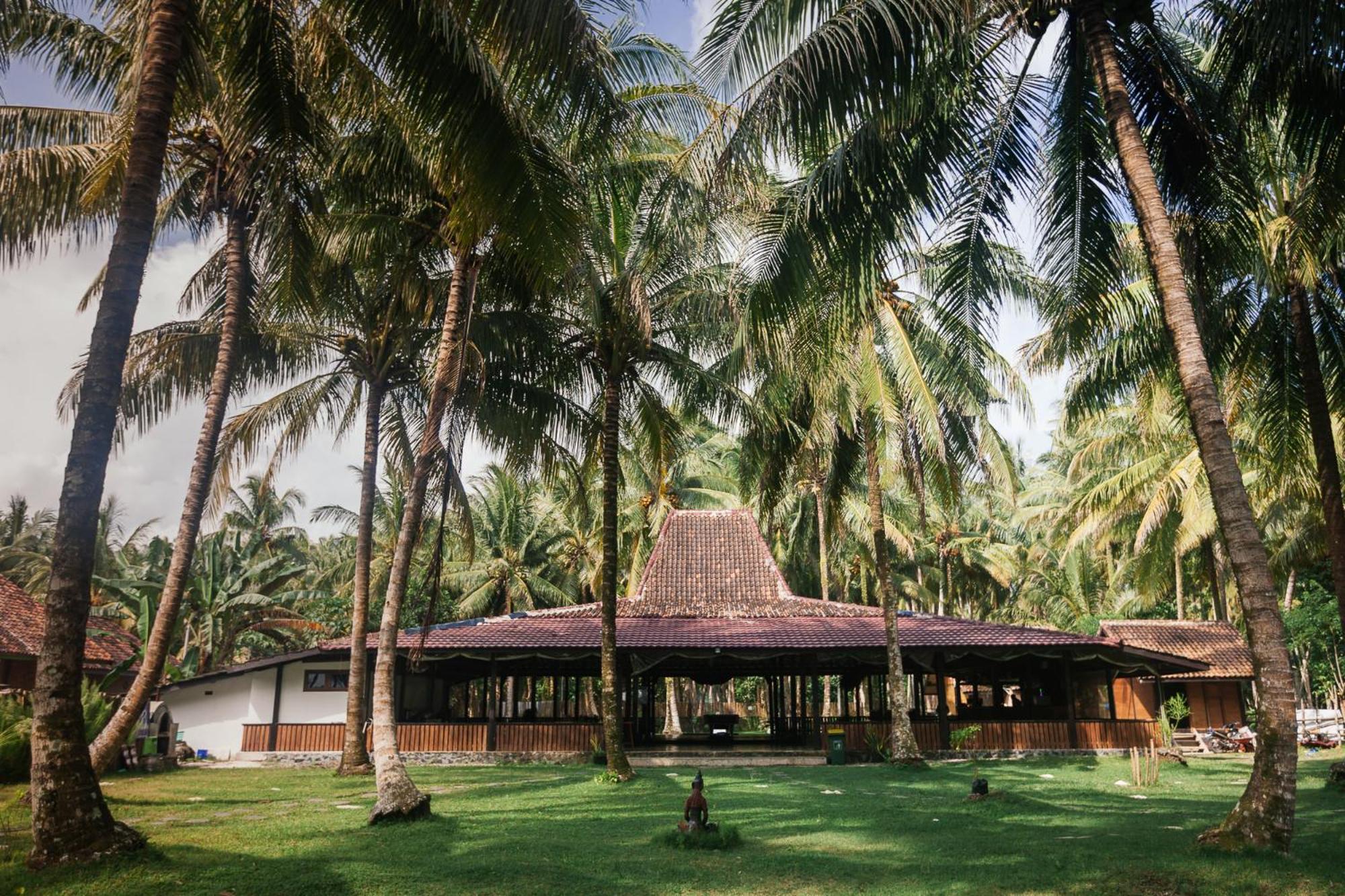 Sumatra Surf Resort Biha Kültér fotó