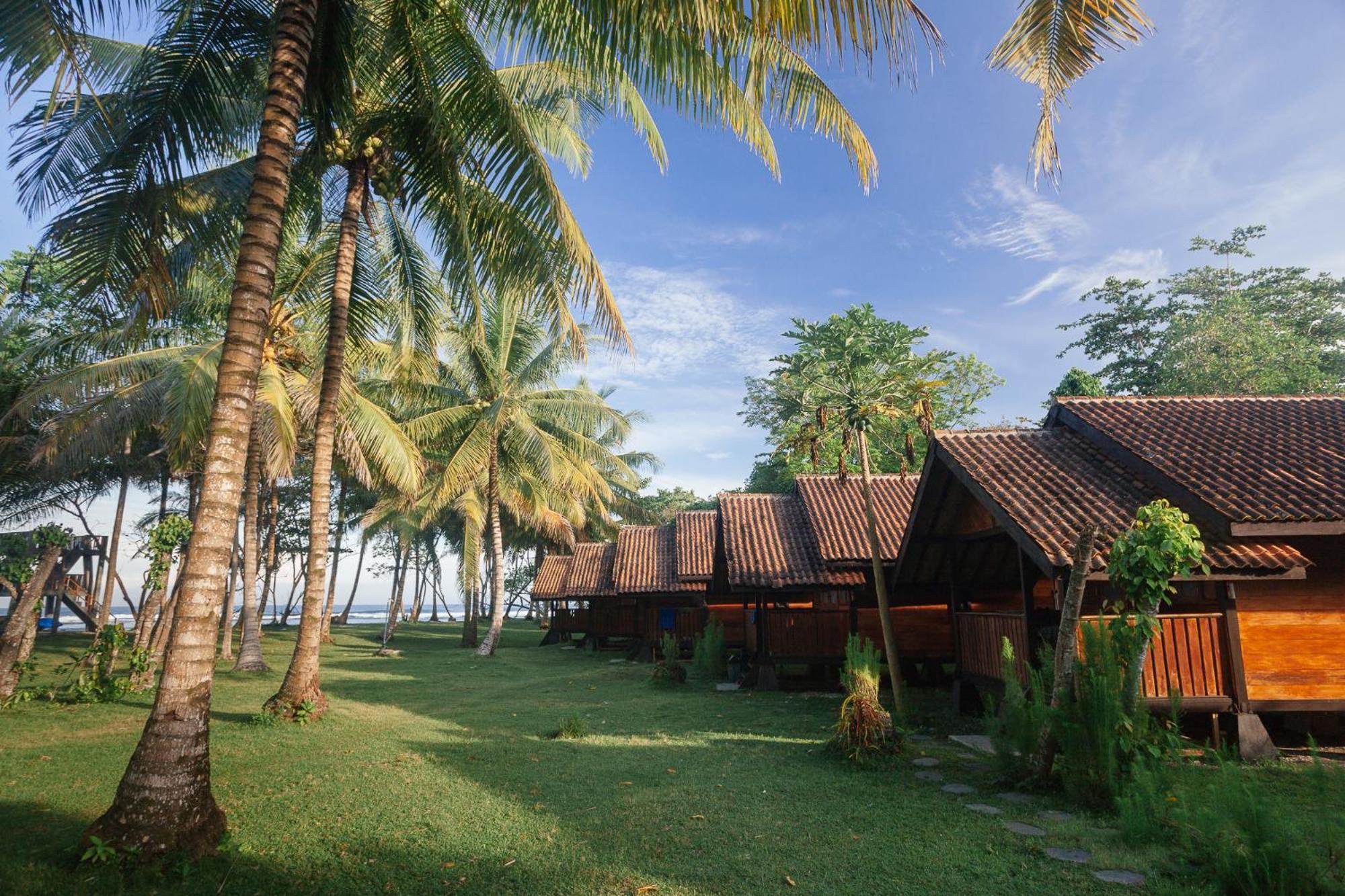 Sumatra Surf Resort Biha Kültér fotó